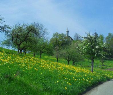 Landgasthof Hirschen Albbruck Exteriér fotografie