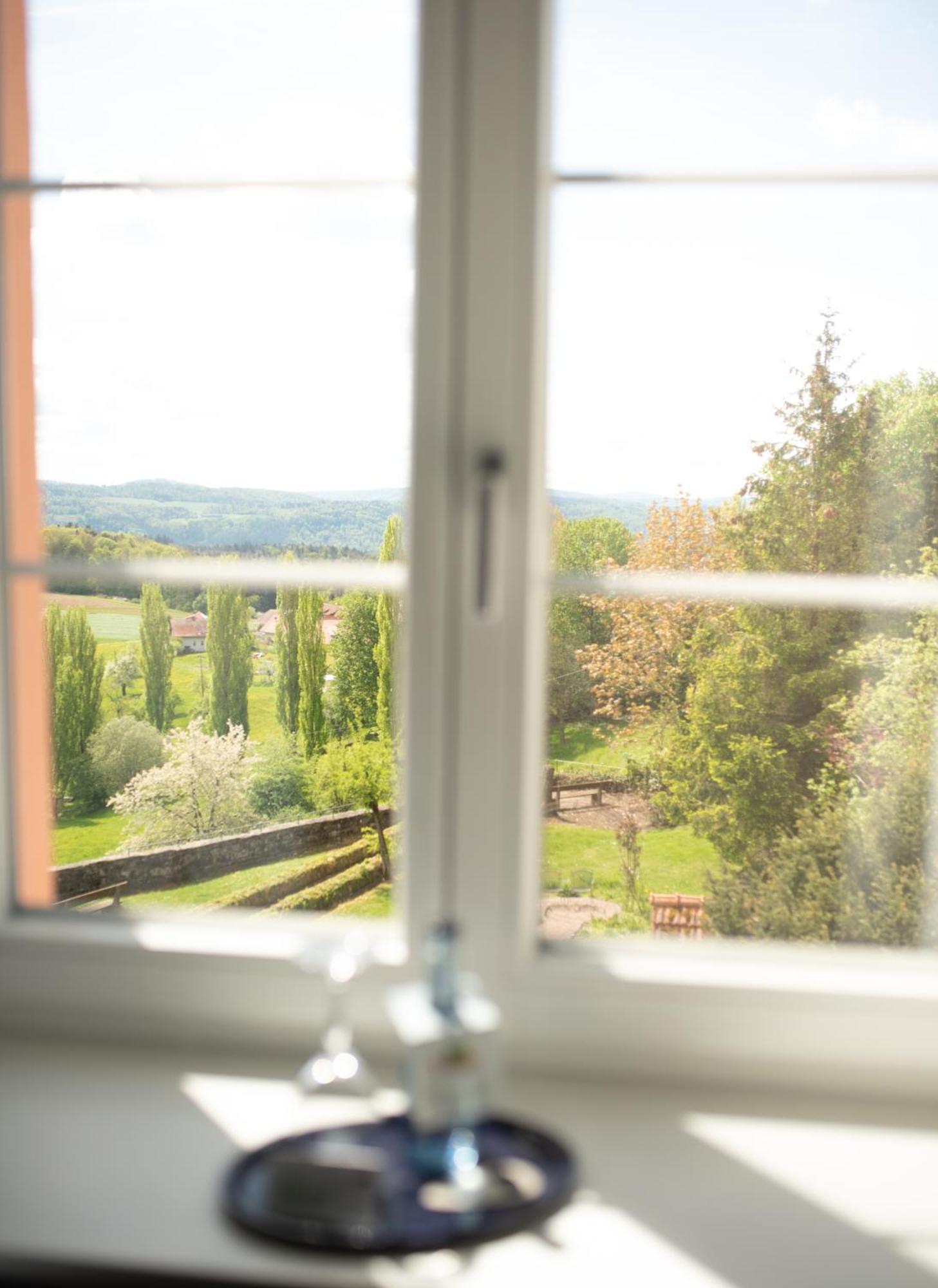 Landgasthof Hirschen Albbruck Exteriér fotografie